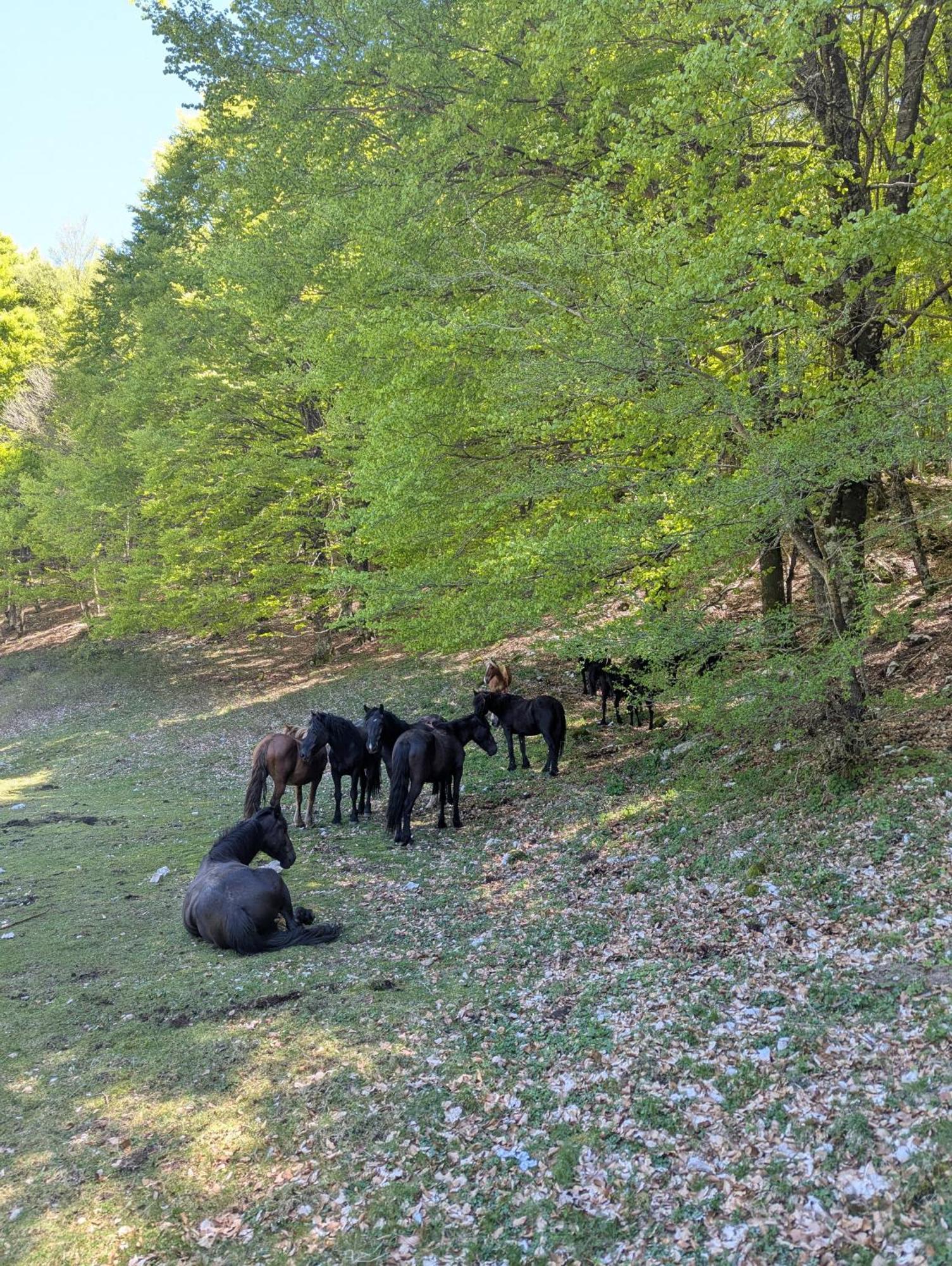 Spigno Saturnia Saturnia Garden Bed & Breakfast エクステリア 写真